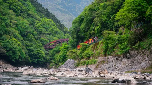 保津川沿いに走るトロッコ列車, 京都 (© Alvin Huang/Getty Images)