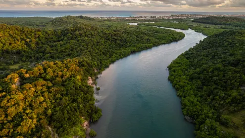 Rio da Mata Atlântica em Pernambuco (© Pollyana Ventura/Getty Images)