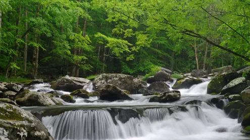 Little Pigeon River, Great Smoky Mountains National Park, Tennessee (© GreenStock/Getty Images)