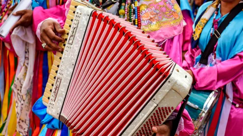 Acordeonista tocando seu instrumento (© Fred_Pinheiro/Getty Images)