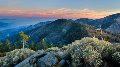 Summit of Pine Mountain, Angeles National Forest, California (© Matthew Kuhns/TANDEM Stills + Motion)