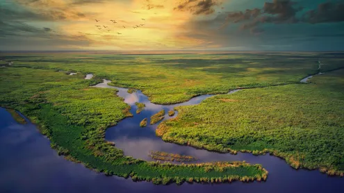 Aerial view of Everglades National Park, Florida (© Robert DelVecchio - OcuDrone/Getty Images)