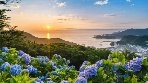 あじさいの丘, 静岡県 賀茂郡 (© Tommy Tsutsui/Getty Images)