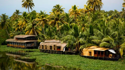 Houseboats on Vembanad lake, Kerala (© artherng/Getty Images)