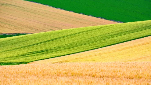 パッチワークの路, 北海道 美瑛町 (© DoctorEgg/Getty Images)