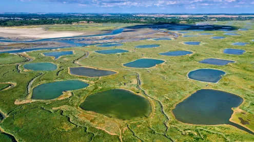 Vue aérienne de la Baie d'Authie, Somme, Haut-de-France (© Tuul & Bruno Morandi/Getty Images)