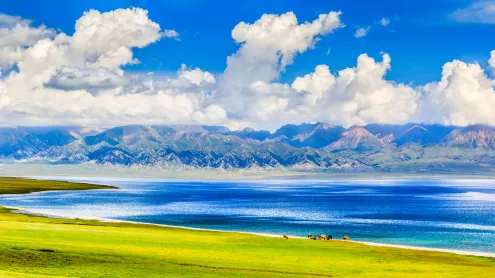 夏季的赛里木湖，博尔塔拉蒙古自治州博乐县, 中国新疆维吾尔自治区 (© Feng Wei Photography/Getty Images)