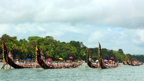 Oarsmen rowing in snake boats at Aranmula, Kerala (© Rajesh Narayanan/Shutterstock)