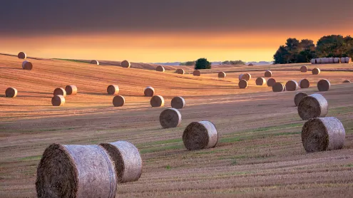 Hay bales, North Yorkshire, England (© Nick Brundle Photography/Getty Images)
