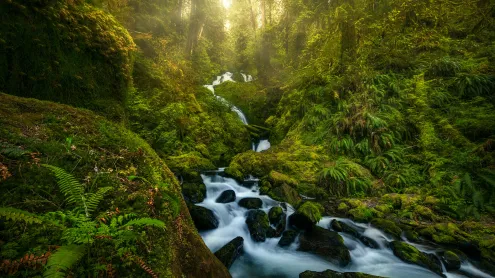A waterfall in Olympic National Park, Washington (© Chris Moore/TANDEM Stills + Motion)