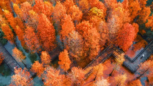 航拍中国江苏省常州翠竹公园 (© Xu Changyu/Getty images)