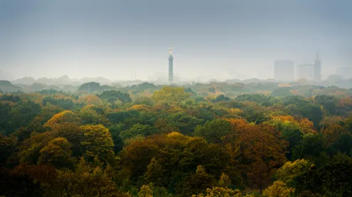 Herbstliche Farben in Berlin (© Sergio Saavedra Ruiz/Getty Images)