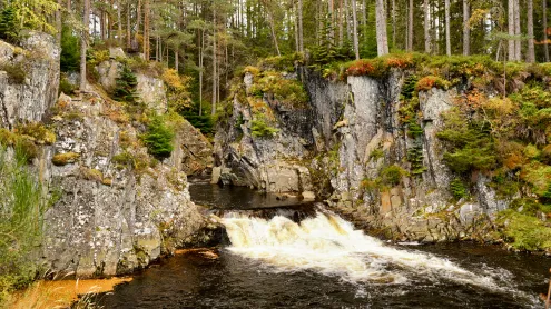 Waterfall in the Cairngorms National Park, Scotland (© JohnFScott/iStock/Getty Images)
