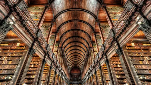 Library of Trinity College Dublin, Ireland (© Lukas Bischoff/Getty Images)