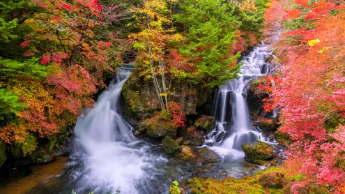 竜頭の滝, 栃木県 日光市 (© kecl/Getty images)
