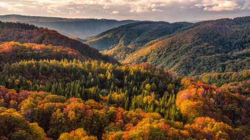 八甲田山の紅葉, 青森県青森市 (© Mekdet/Getty images)