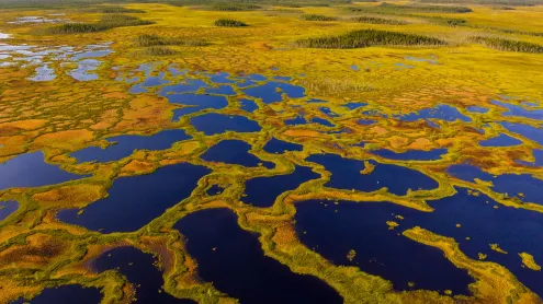 Aerial view of peatland in Martimoaapa Mire Reserve, Finland (© romikatarina/Shutterstock)