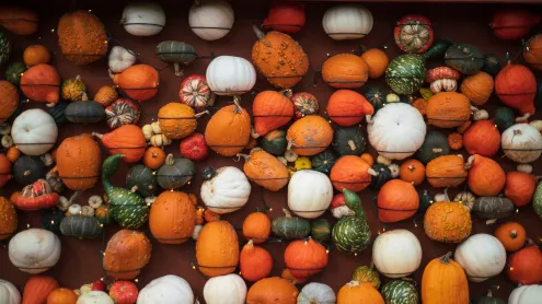 Different kinds of pumpkins and gourds (© davidfillion/Getty Images)