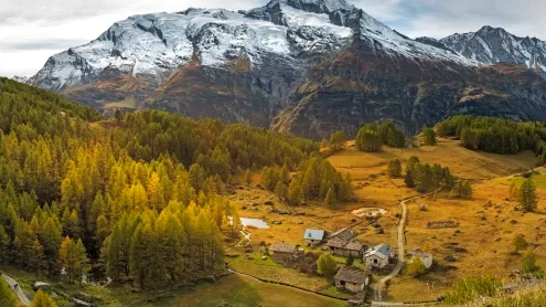 Forêt de mélèzes dorés, Alpes (© Jose Manuel Perez/Getty Images)
