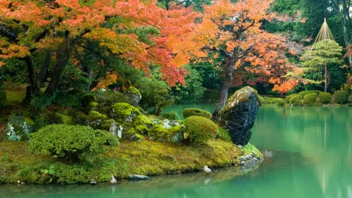 兼六園, 石川県 金沢市 (© Darby Sawchuk/Alamy)