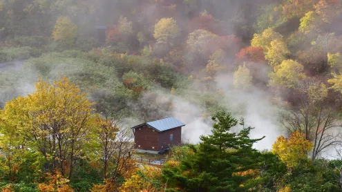 玉川温泉, 秋田県 仙北市 (© jiraphoto/Shutterstock)