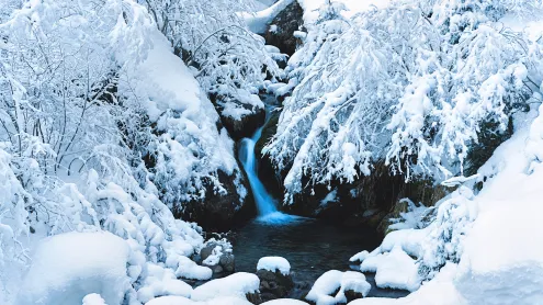 Val Brandet, Corteno Golgi, Brescia, Lombardy, Italy (© ClickAlps/Alamy)