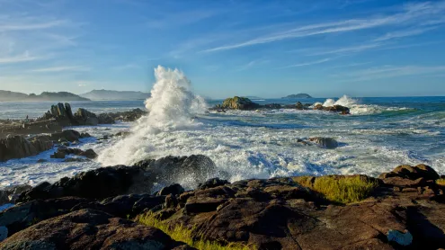 Praia da Armação, Florianópolis, Santa Catarina (© André Damasco/Getty Images)