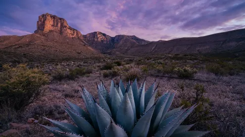 El Capitan at sunrise in Guadalupe Mountains National Park, Texas (© Adam Mowery/Tandem Stills + Motion)