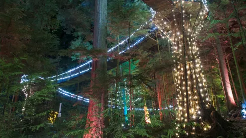 Illuminated Capilano Suspension Bridge Park, Vancouver, British Columbia (© Brian Caissie/Getty Images)