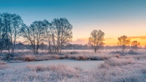Schneebedecktes Feld bei Sonnenuntergang, Ostfriesland, Niedersachsen (© photo art/500px/Getty Images)