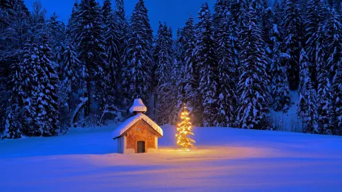 Snowy chapel with Christmas tree in the Bavarian Alps, Germany (© mauritius images GmbH/Alamy)