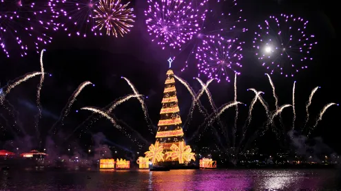Árvore de Natal na cidade do Rio de Janeiro (© Ruy Barbosa Pinto/Getty Images)