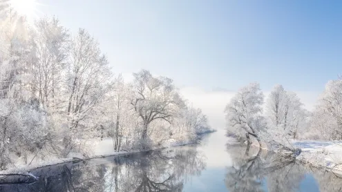 Frostbedeckte Bäume entlang des Flusses Loisach, Kochelsee, Bayern (© Malorny/Getty Images)