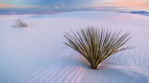 White Sands National Park, New Mexico (© Francesco Carucci/Getty Images)