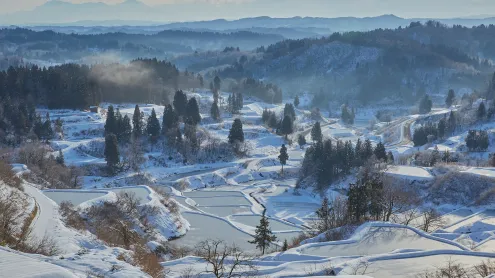 雪に覆われた星峠の棚田, 新潟県 十日町市 (© solakoudai/Shutterstock)