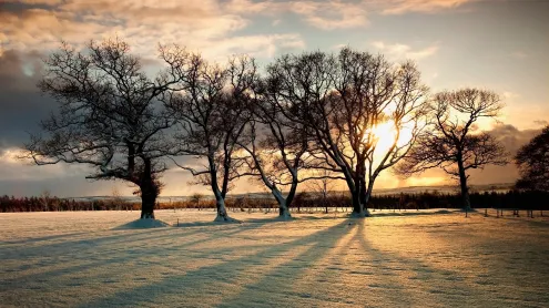 Northumberland, England (© Design Pics/John Short/Getty Images)