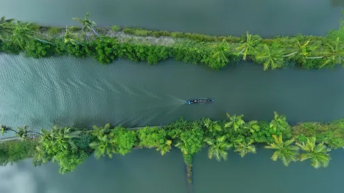 Beautiful aerial view of Kerala (© ebin francis/Shutterstock)