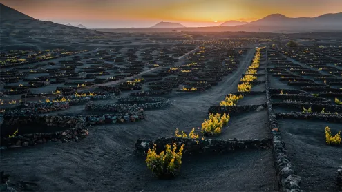 Volcanic vineyard in the La Geria wine region of Lanzarote, Canary Islands, Spain (© Pol Albarrán/Getty Images)