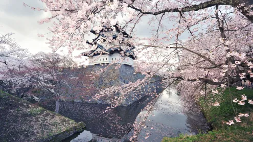 Hirosaki Castle with cherry blossoms, Hirosaki, Japan (© Glenn Waters/Getty Images)