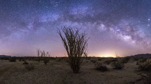 Milky Way over Anza-Borrego Desert State Park, California (© Kevin Key/Slworking)/Getty Images)