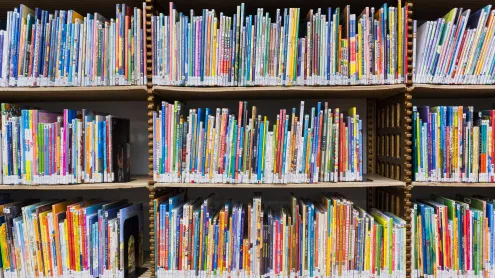Books in the children's section of The New York Public Library, New York (© Ken Welsh/Alamy)
