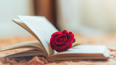 Rosa roja dentro de un libro abierto (© Albert Cabezas/Getty Images)