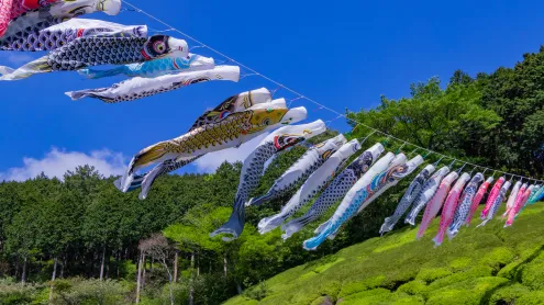 姫の沢公園, 静岡県 熱海市 (© SKY Stock/Shutterstock)