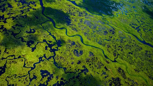 Aerial view of Everglades National Park, Florida (© Tetra Images/Getty Images)