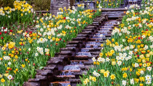 Blumengarten auf der Insel Mainau im Bodensee, Baden-Württemberg (© toriru/Shutterstock)