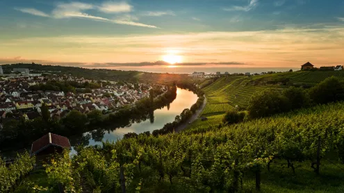 Sonnenuntergang über den Weinbergen von Steinhaldenfeld im Neckartal bei Stuttgart, Baden-Württemberg (© Cyril Gosselin/Getty Images)