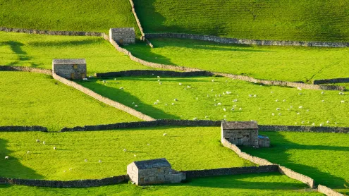 Gunnerside, Swaledale, Yorkshire Dales National Park, England (© Derek Croucher/Alamy)