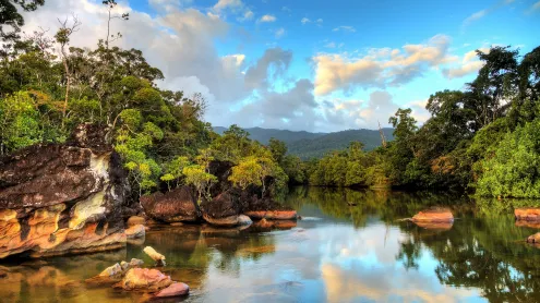 Masoala National Park in Madagascar (© Dennis van de Water/Shutterstock)