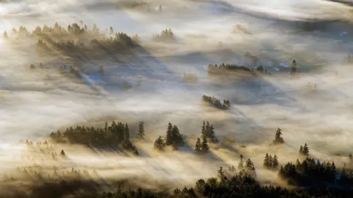 Cowichan Valley, Vancouver Island, British Columbia, Canada (© Kevin Oke/Alamy)
