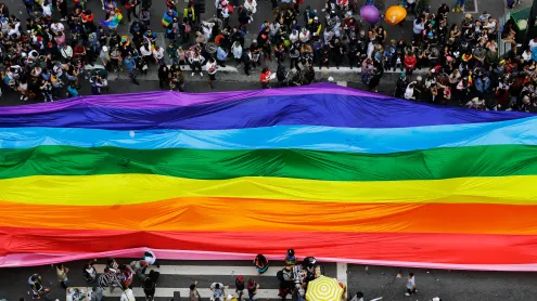 Foliões enchem as ruas segurando uma bandeira gigante do arco-íris durante a parada anual do orgulho LGBT na avenida Paulista (© Nelson Antoine/Shutterstock)